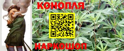 шишки Ливны