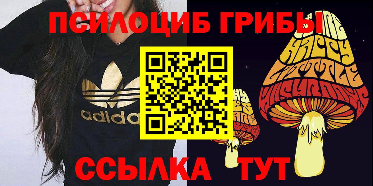 Галлюциногенные грибы GOLDEN TEACHER  Вход с VPN  Елабуга  Галлюциногенные грибы Psilocybe 