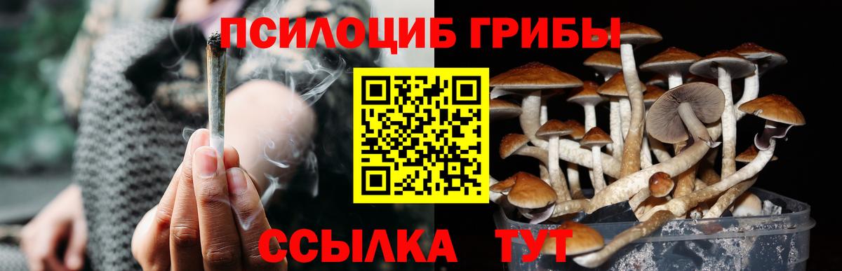 Галлюциногенные грибы MAGIC MUSHROOMS Елабуга